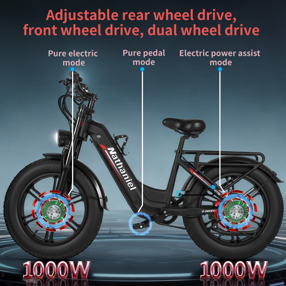 Mountain Biking Gear For Men - 20 inç Elektrikli Bisiklet 2*1000W Motor